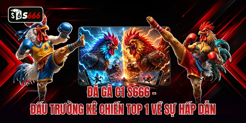 Đá Gà C1 S666 - Đấu Trường Kê Chiến Top 1 Về Sự Hấp Dẫn