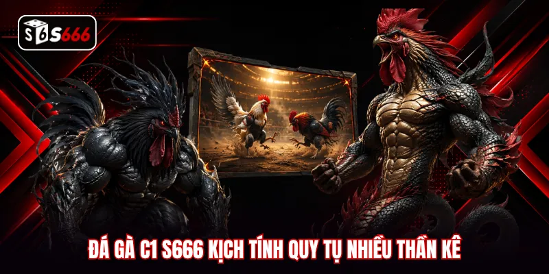 Đá gà C1 S666 kịch tính quy tụ nhiều thần kê