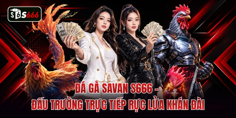 Đá Gà Savan S666 - Đấu Trường Trực Tiếp Rực Lửa Khán Đài