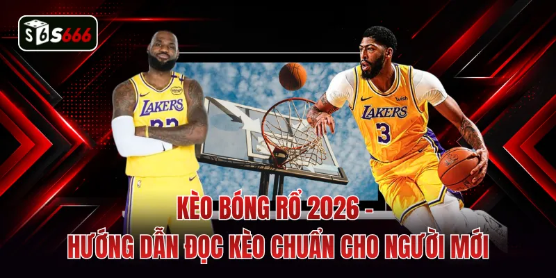 Kèo Bóng Rổ 2026 - Hướng Dẫn Đọc Kèo Chuẩn Cho Người Mới