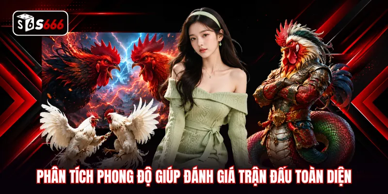 Phân tích phong độ giúp đánh giá trận đấu toàn diện